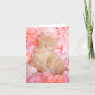 Cartão Pequeno Vazio Floral Rosa Linus Notecard