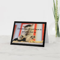 Pequenos Pés De Gato Sentem Bons Desejos