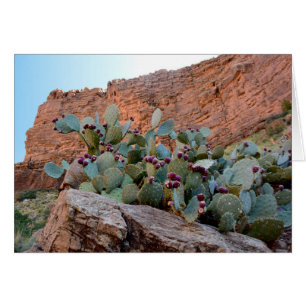 Cartão Pera rápida no Grand Canyon