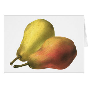 Cartão Peras Vintage, Alimentos Orgânicos, Frutas Maduras