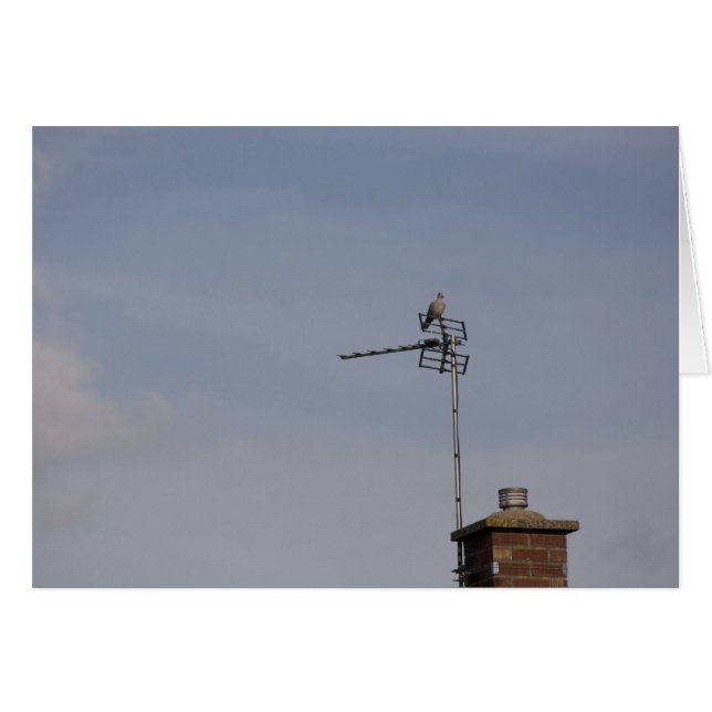 Cartão Perch (Frente Horizontal)