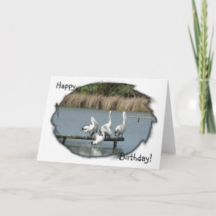 Cartão Perching Pelicans Birthday Card