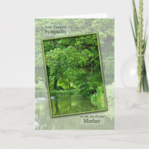 Perda da simpatia de cena tranquilo do rio da mãe