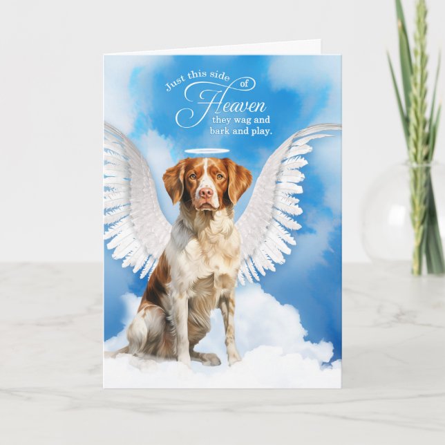 Cartão Perda de Cachorro Brittany Spaniel Pet Simpático (Frente)