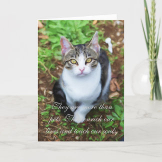 Cartão Perda de gato