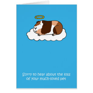 Cartão Perda de Porco Guiné, simpatia.