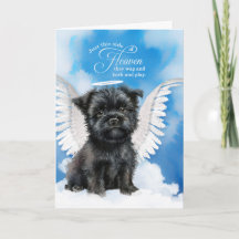 Perda de um Cachorro Affenpinscher Angel Pet Simpa