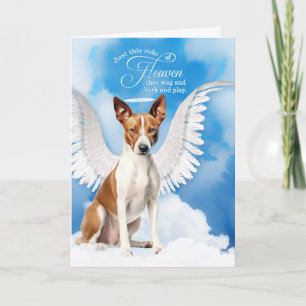 Cartão Perda de um Cachorro Basenji Angel Dog Pet Sympath