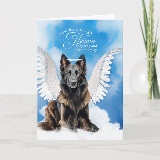 Cartão Perda de um Cachorro Belga Tervuren Angel Pet Symp (Frente)