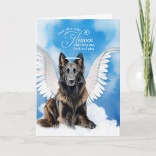 Cartão Perda de um Cachorro Belga Tervuren Angel Pet Symp