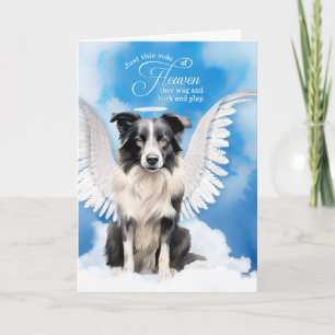 Cartão Perda de um cachorro Border Collie Anjo Pet Condol
