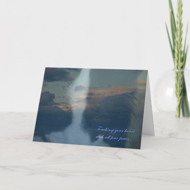 Cartão Perda de um cachorro. Perda de um animal de estima (Frente)