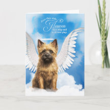 Perda de um Cairn Terrier Dog Angel Pet Sympathy