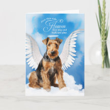Perda de um Cão Airedale Terrier Angel Pet Simpati