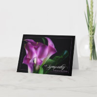 Perda de um Irmão Simpatia Púrpura Calla Lily