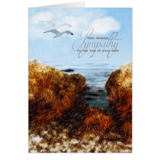 Cartão Perda de um Voo Costeiro de Simpatia por Esposa (Frente)