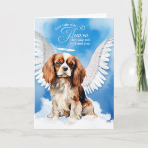 Cartão Perda de uma Simpatia Pet Cavalier King Charles Do