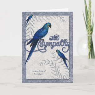 Cartão Perda de uma Simpatia Pet de Hyancinth Macaw