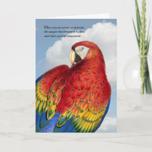 Cartão Perda de uma simpatia por Patos-Pássaros