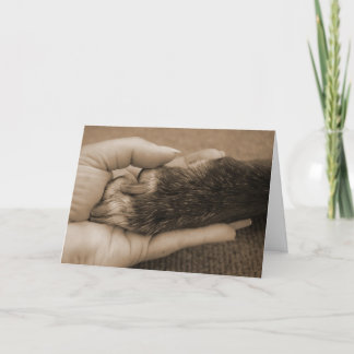 Cartão Perda do animal de estimação