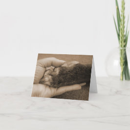 Cartão Perda do animal de estimação - toque de um anjo
