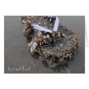 Cartão Perdido e Encontrado