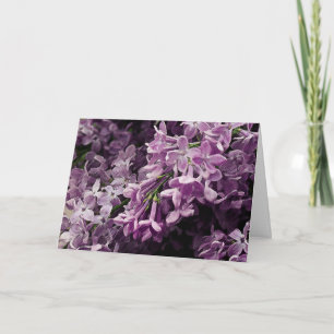 Cartão Perdido em Lilac