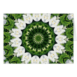 Cartão Perdido no paraíso