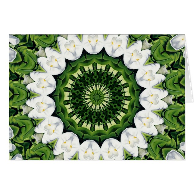 Cartão Perdido no paraíso (Frente Horizontal)