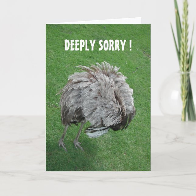 Cartão Perdoe-me! (Frente)