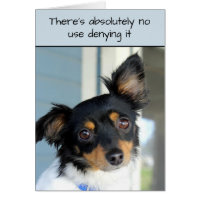 Perdoe-Me Doggie Cuteness Card