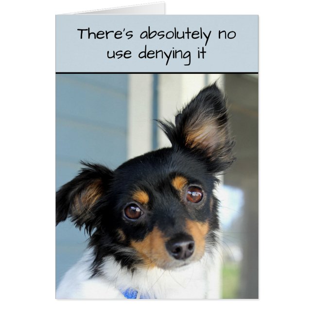 Cartão Perdoe-Me Doggie Cuteness Card (Frente)