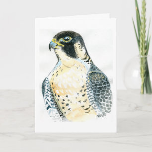 Cartão Peregrine Falcon Birthday Card
