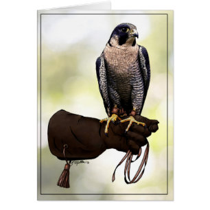 Cartão Peregrine Falcon on Glove