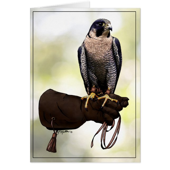 Cartão Peregrine Falcon on Glove (Frente)