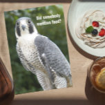 Cartão Peregrine Falcon Photo Funny Birthday Card<br><div class="desc">Humorous birthday card for all featuring the photo image of a Peregrine Falcon looking for food. Better watch that cake! Select from matte or glossy style card.</div>