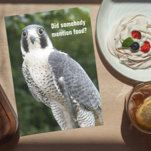 Cartão Peregrine Falcon Photo Funny Birthday Card