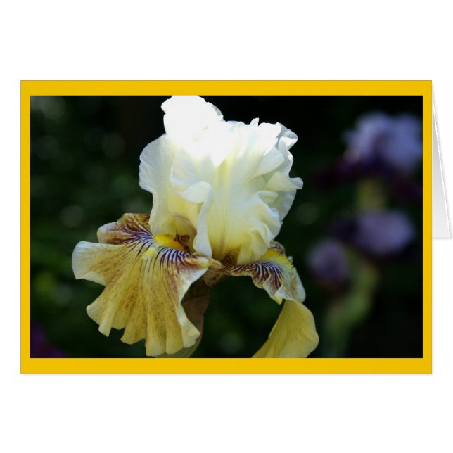 Cartão Perfeição da íris (Frente horizontal)