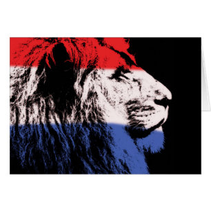 Cartão Perfil de leão dormindo