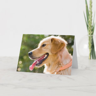 Cartão Perfil De Retriever Do Ouro Com A Saída Da Língu