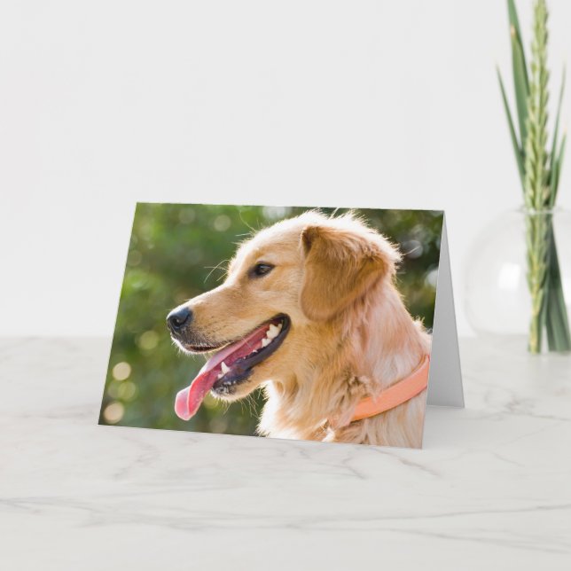 Cartão Perfil De Retriever Do Ouro Com A Saída Da Língua (Frente)