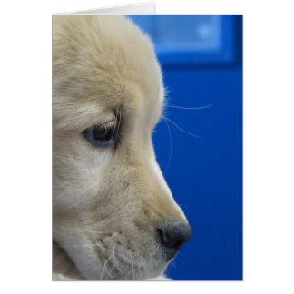 Cartão Perfil do filhote de cachorro da cor