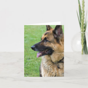Cartão Perfil do german shepherd