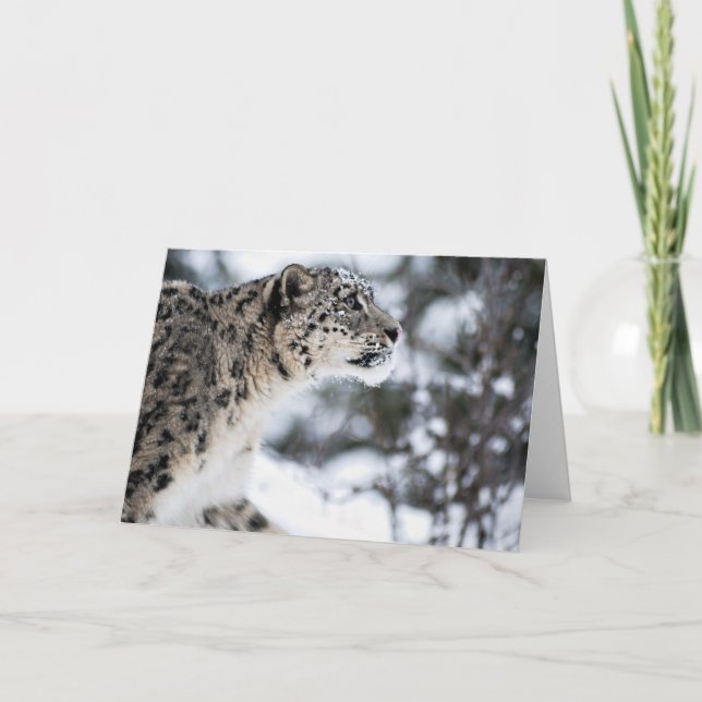 Cartão Perfil do leopardo de neve (Frente)