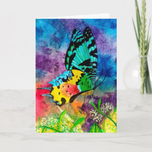 Cartão Perfil Madagascar Splash