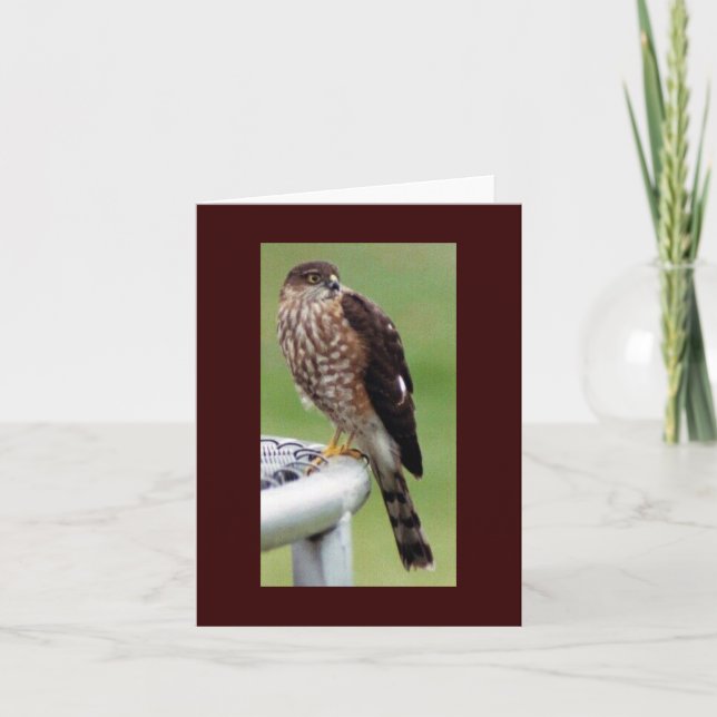 Cartão Perfil perfeito (Frente)