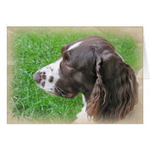 Cartão Perfil personalizado do espanhol Springer em inglê