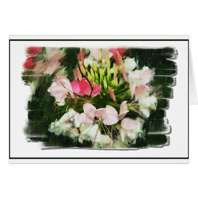 Cartão Perfumes da cor (Frente Horizontal)