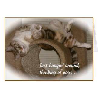 Cartão Pergueiro o Gato