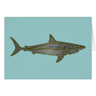 Cartão Perigo - Tubarões selvagens